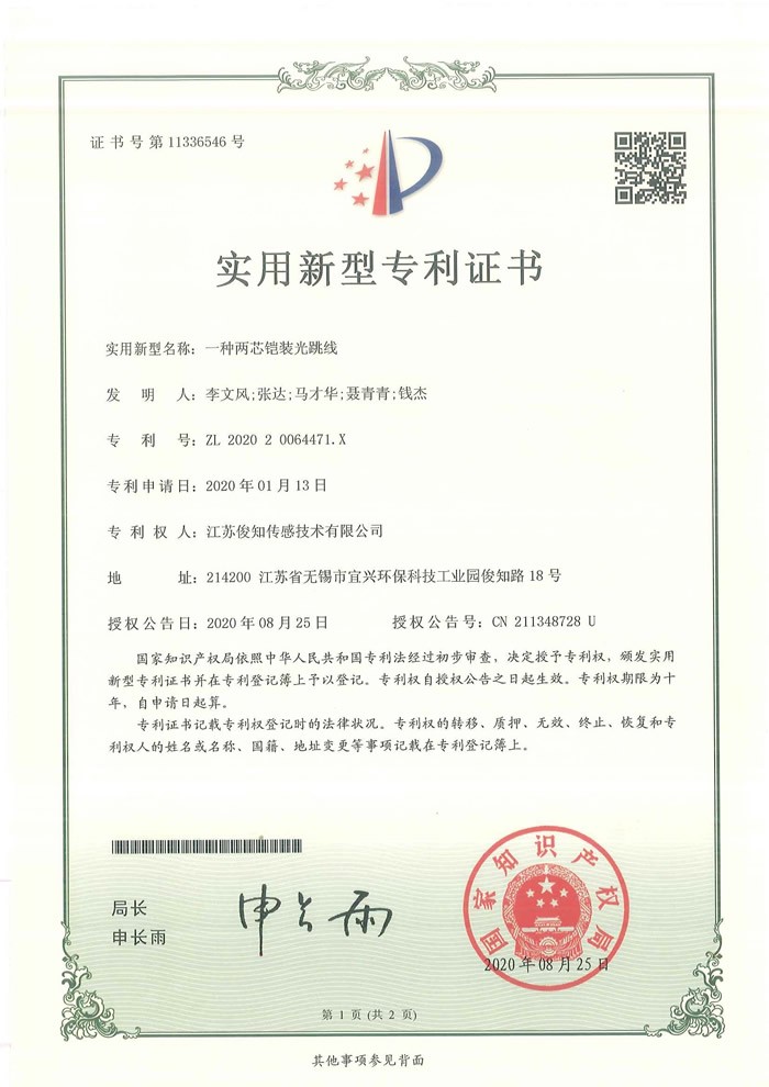 一种两芯铠装光跳线