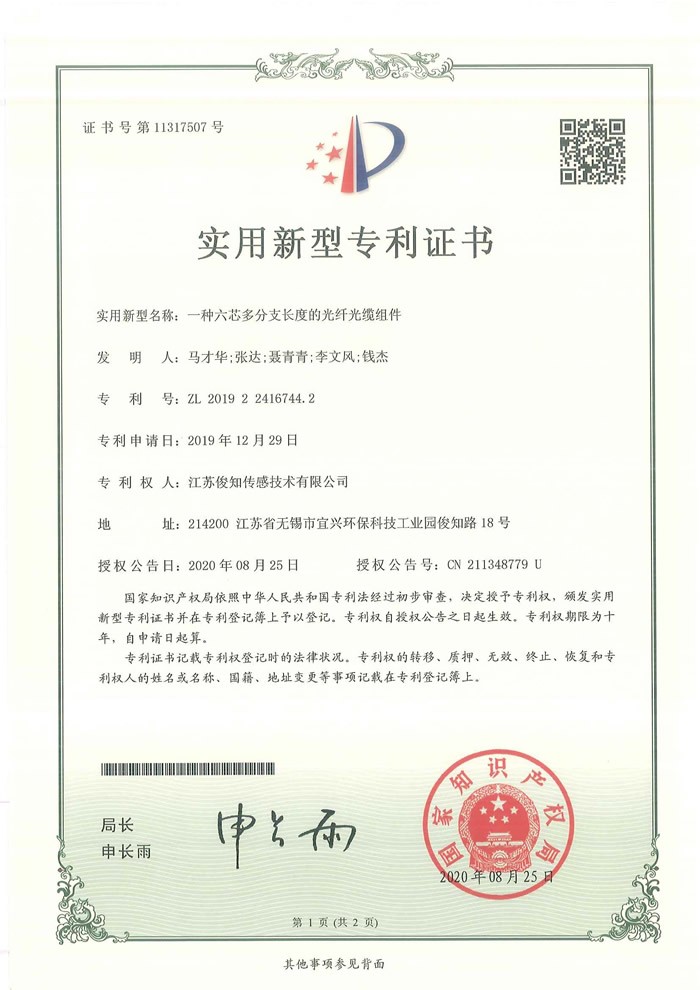 一种六芯多分支长度的光纤光缆组件